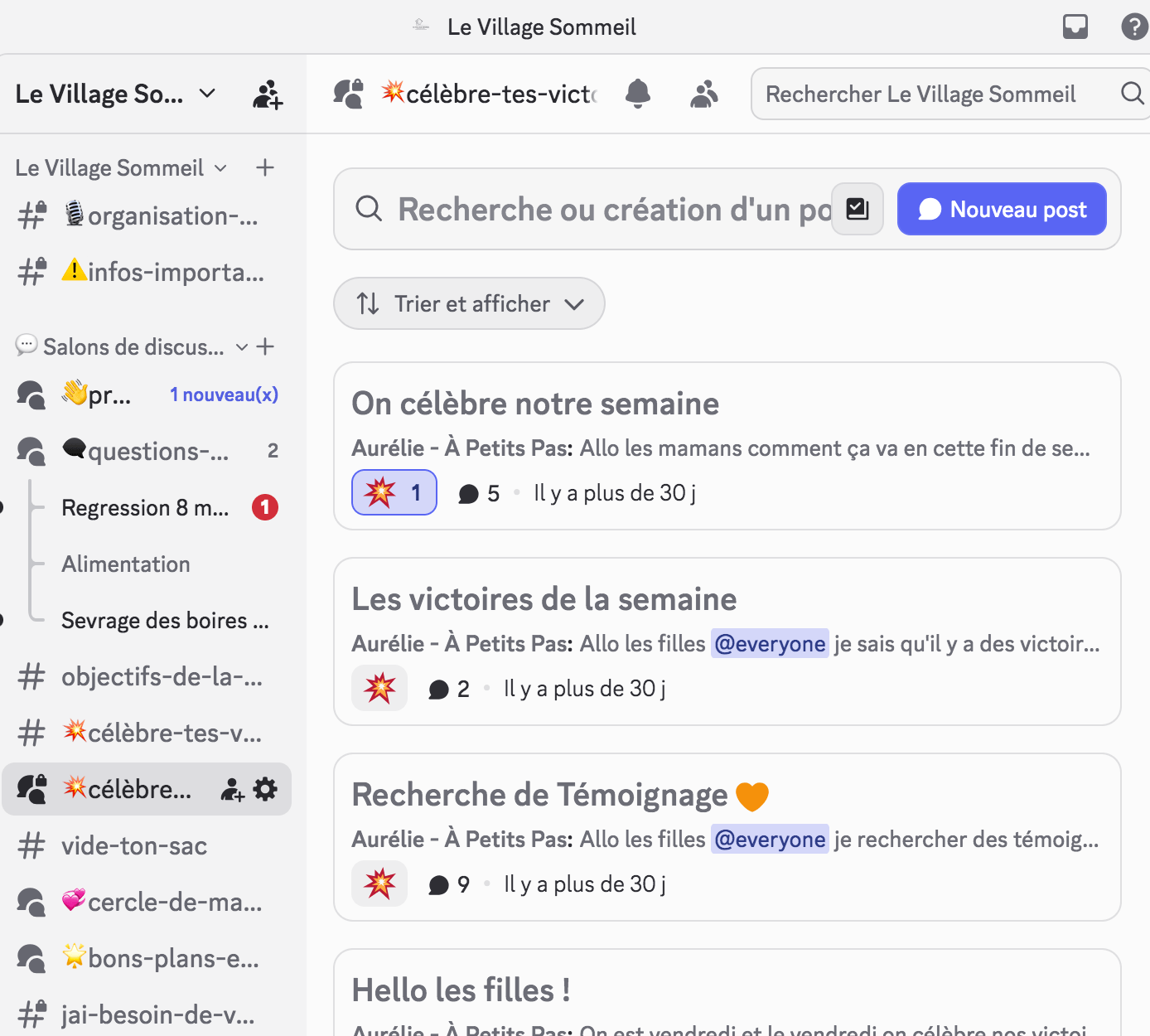 La communauté Discord Le Village Sommeil