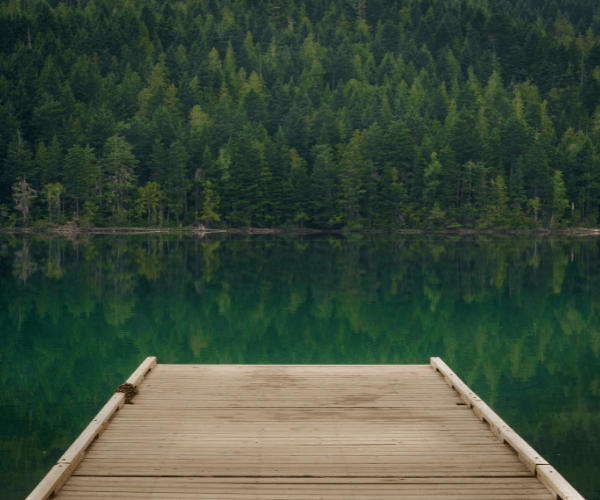 A wooden pier extends into a calm lake reflecting a dense forest of pine trees under a muted sky.