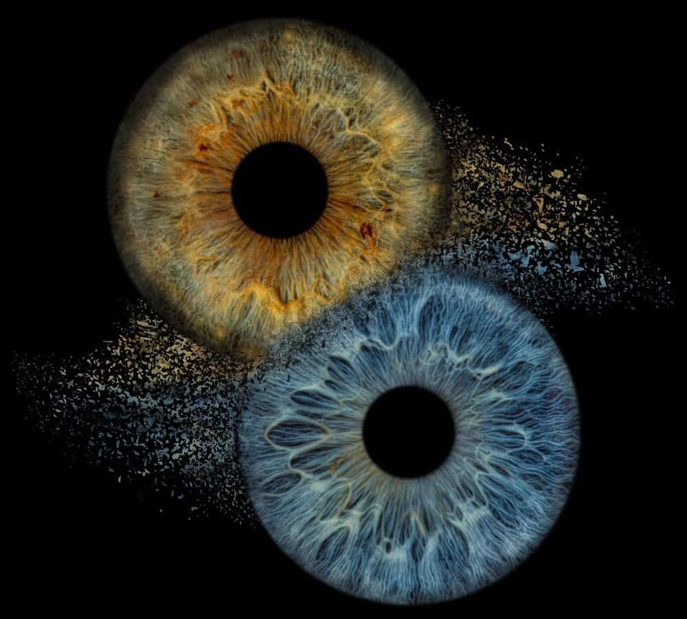 Close-up of human iris used for iridology reading and body mapping.