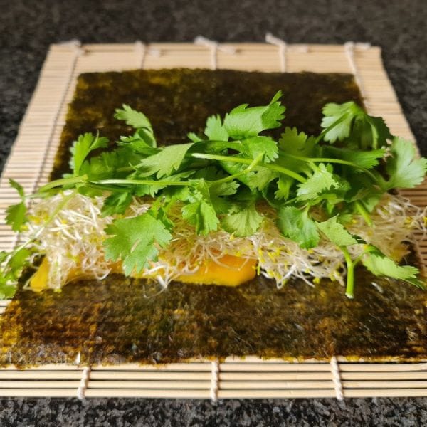 Raw nori wrap with mango, sprouts and coriander, a Raw Reset meal example