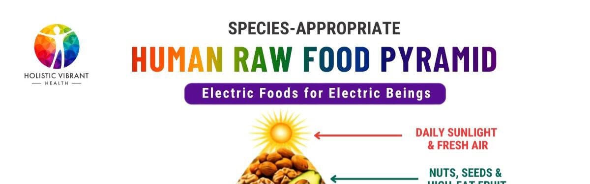 Species appropriate human raw food pyramid