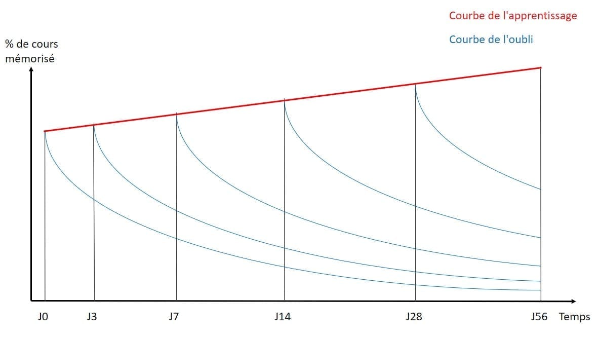 courbe-de'oubli-ebbinghaus