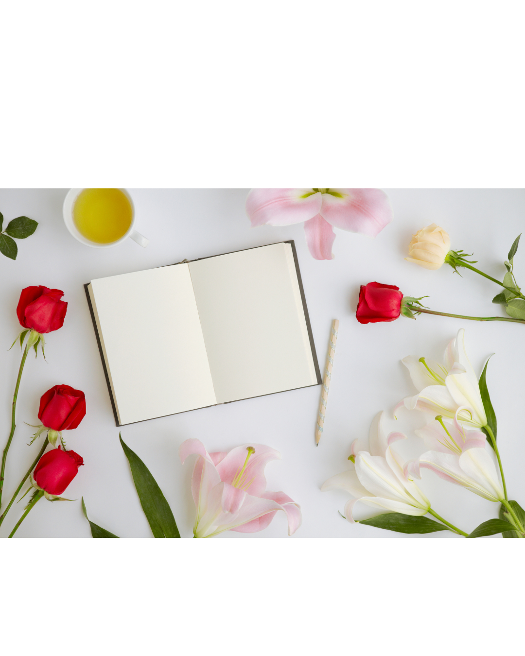 Image of on outstretched hand hold up 3 circles with the words Adaptability, resilience, flexibility and learning