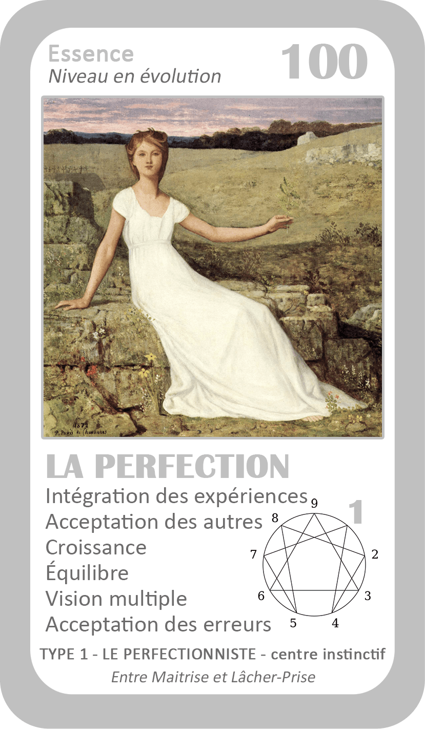 L'Oracle de l'ennéagramme général : carte 100 La Perfection
