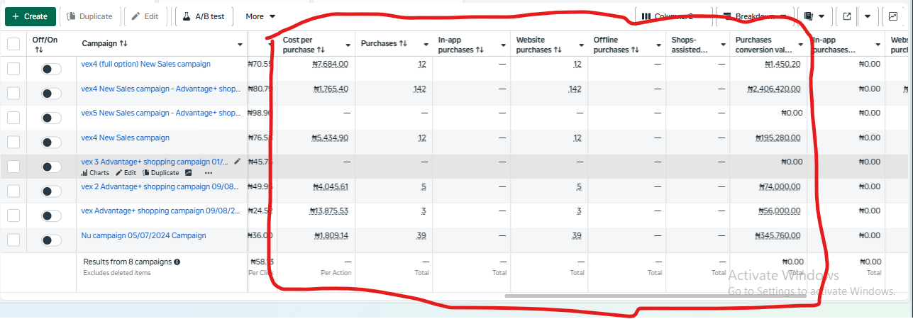 Meta Ads Manager dashboard showing 8x ROAS and campaign performance for Bounce Back to Life Consult