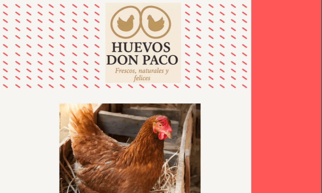 Guía para comenzar con la crianza de gallinas ponedoras y producción de huevo