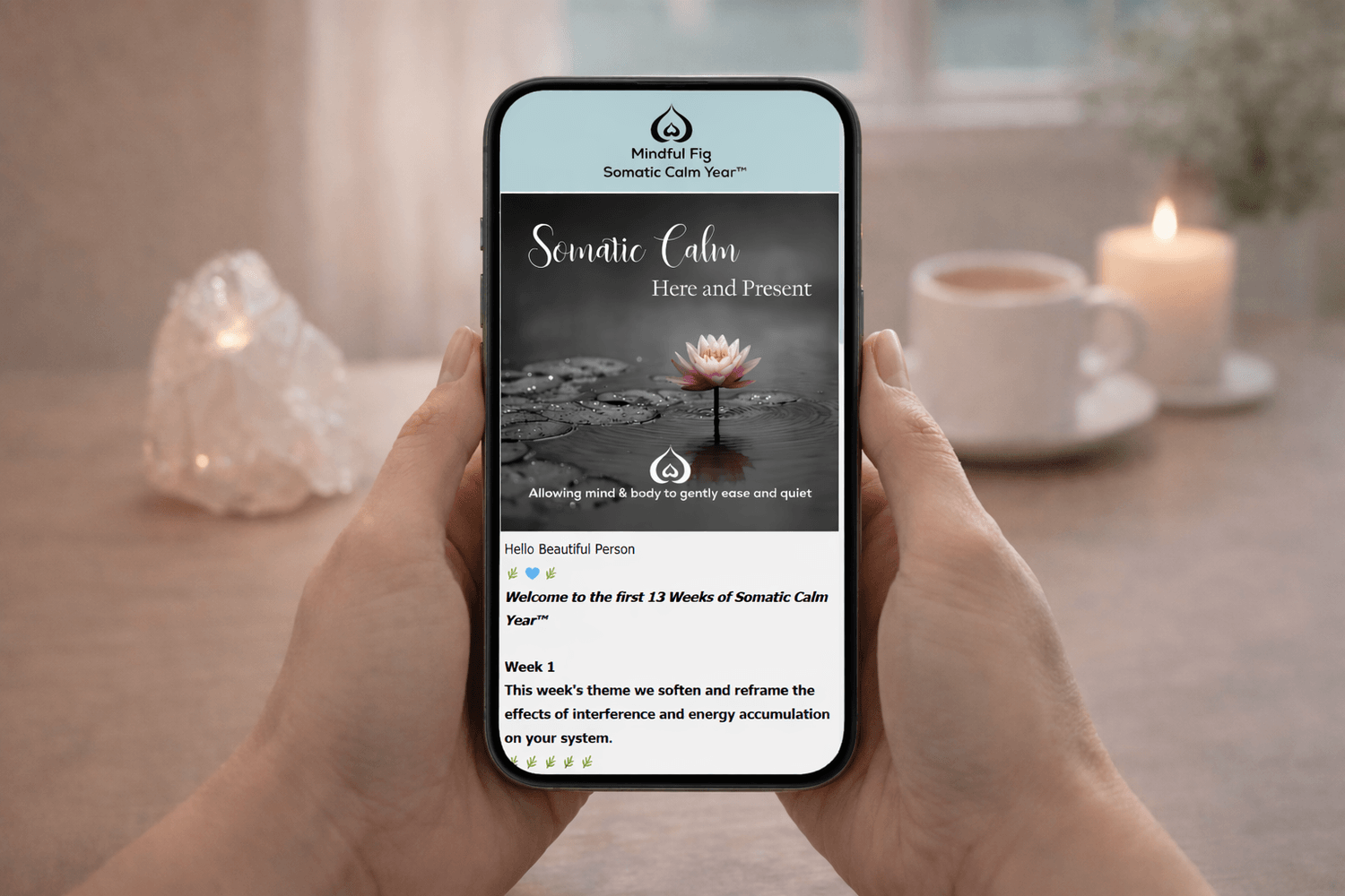 Daily Somatic Calm Year™ support for overwhelmed systems displayed on a phone in a calm space with tea and a candle. Professional energy reorganization and integration services accessible globally from the Mindful Fig, headquartered in British Columbia, Canada.