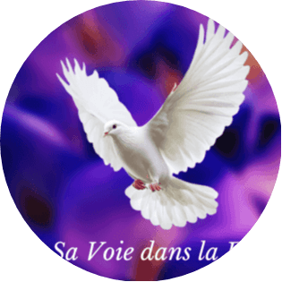 Ateliers de Transformations