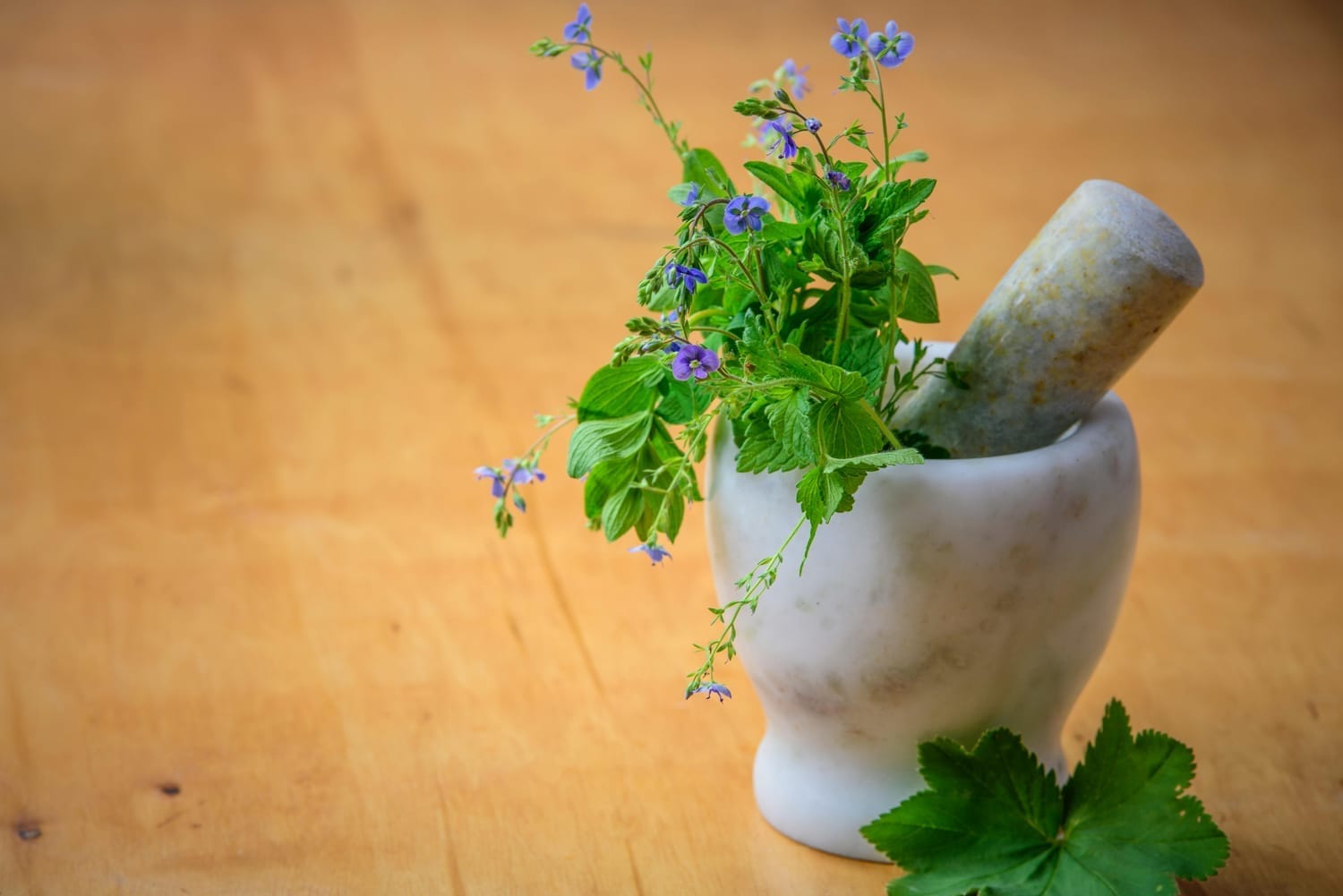 Mortero con plantas medicinales en una mesa amplia casera.