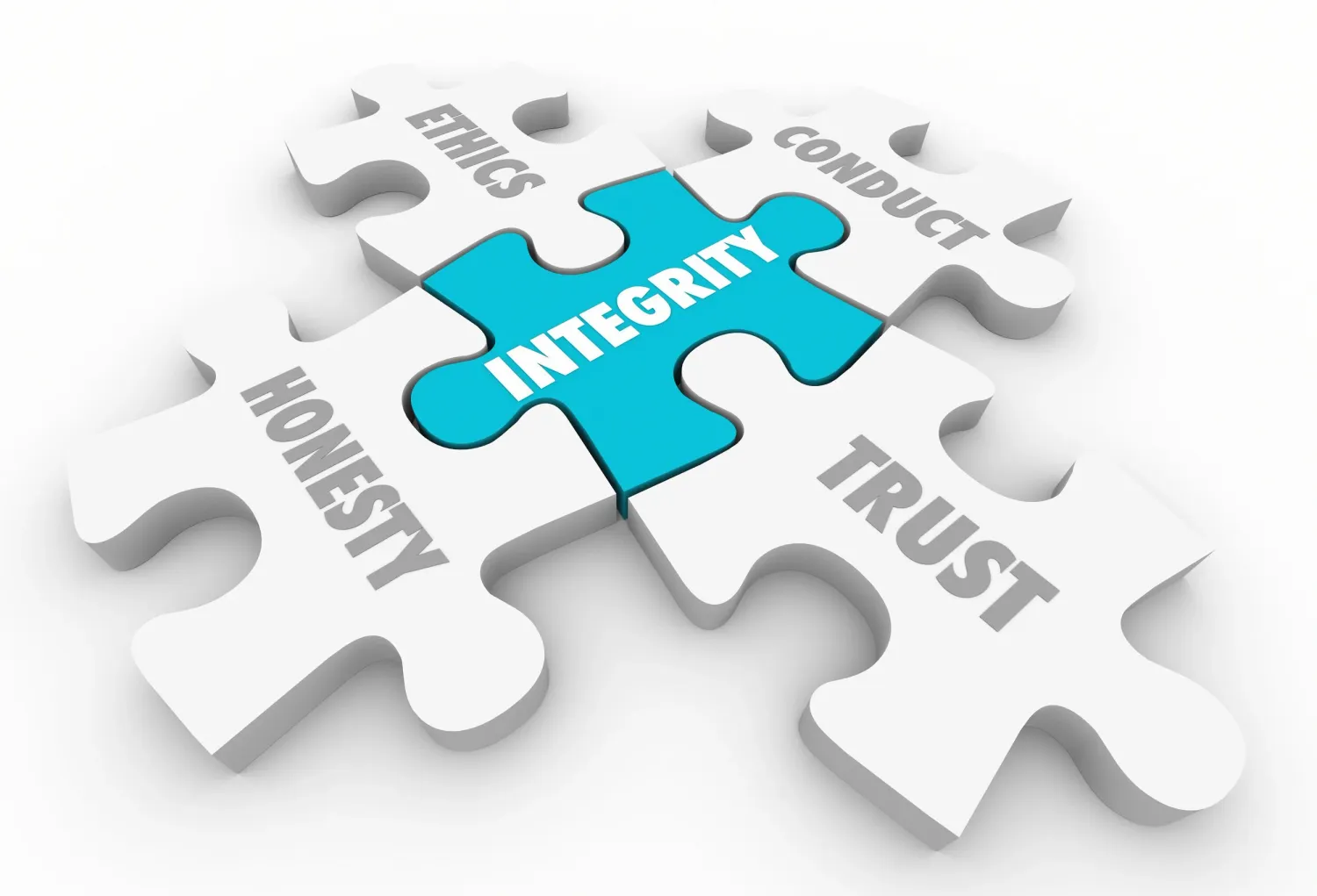 Experience, Vision, and Integrity