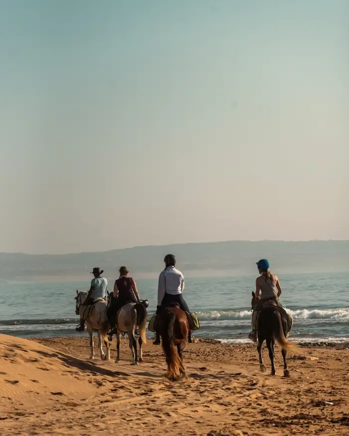 horse riding morocco