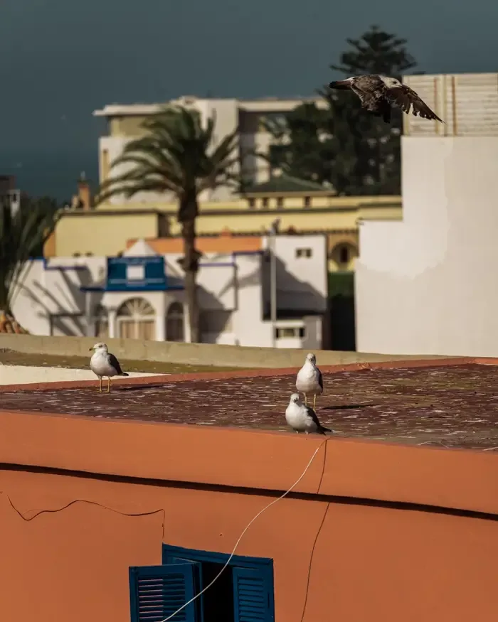 tangier-morocco-photography