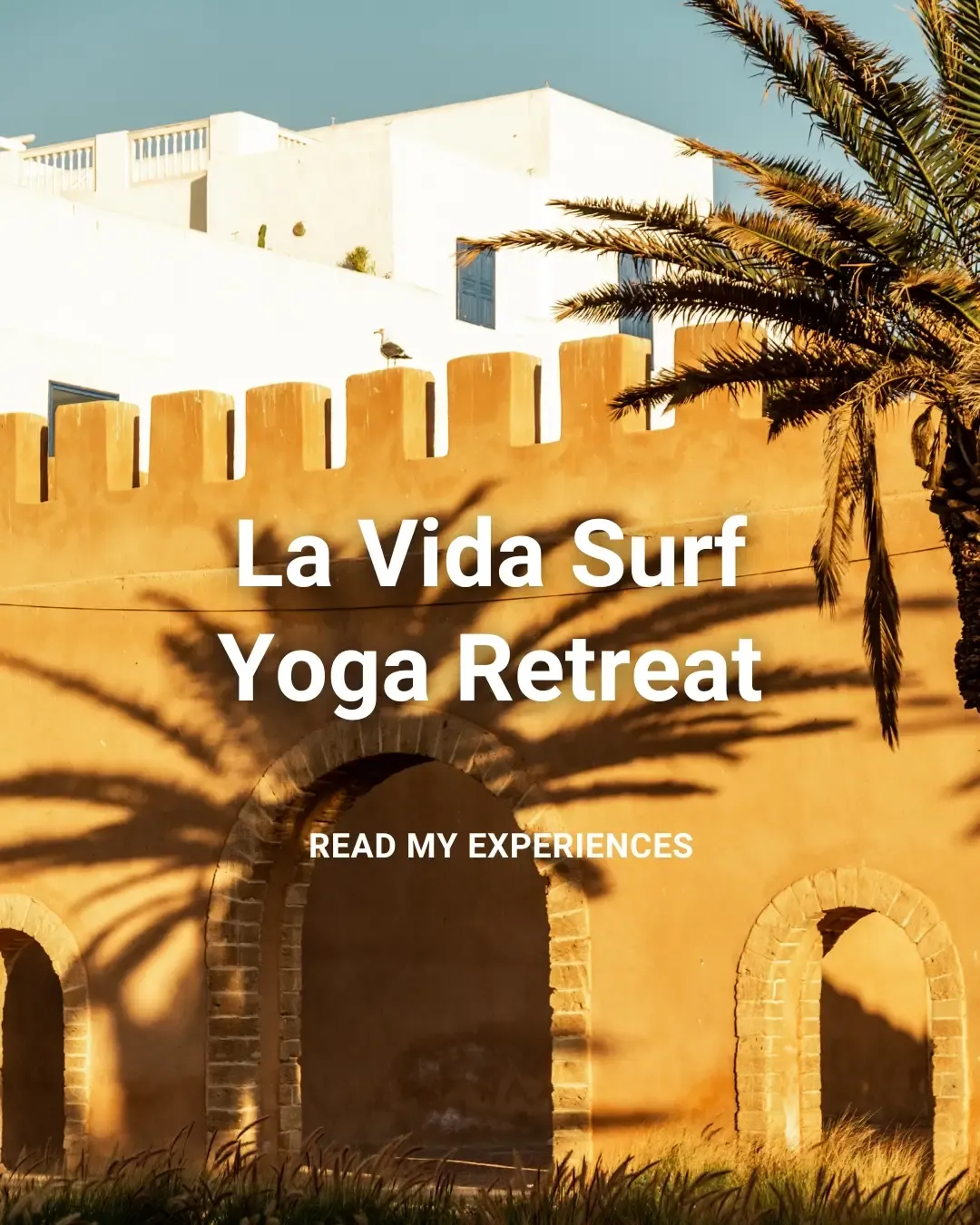 La Vida Surf Yoga Retreat experiences