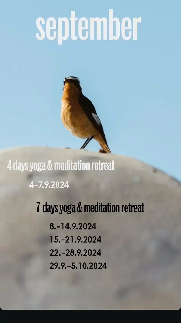 september 2025 retreats morocco