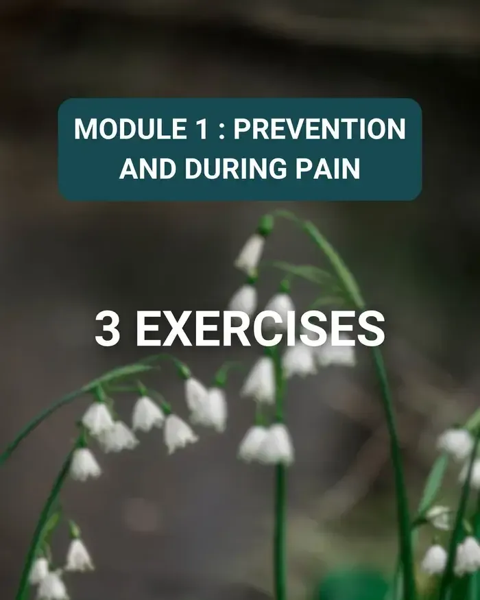 MODULE 1 migraine relief online course PREVENTION and DURING PAIN