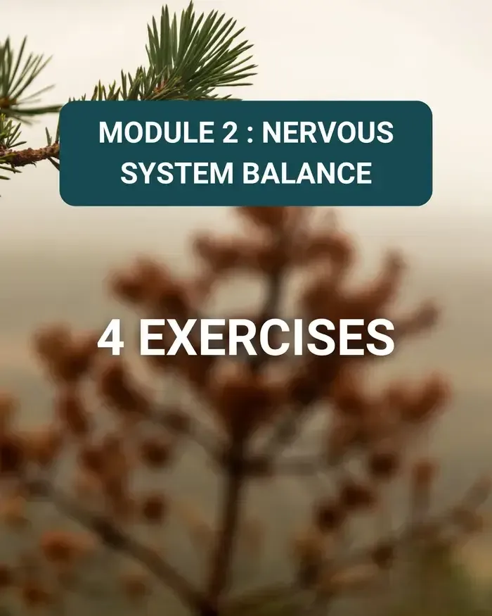 MODULE 2 migraine relief online course nervous system balance