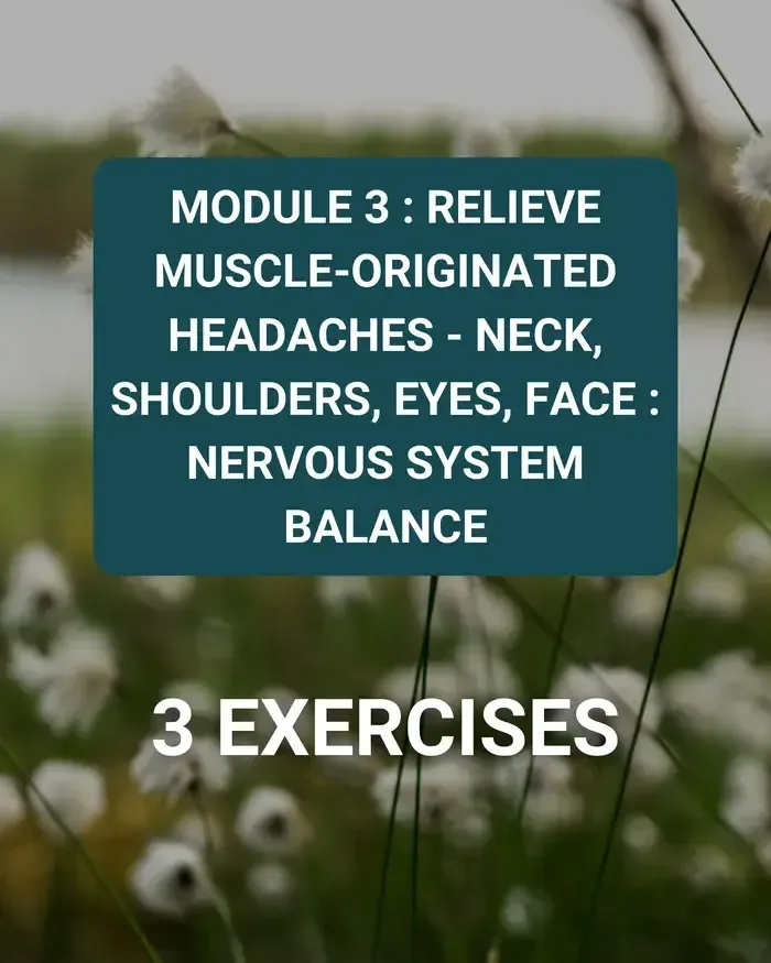 MODULE 3 migraine rlief online course RELIEVE MUSCLE-ORIGINATED HEADACHES - NECK, SHOULDERS, EYES, FACE