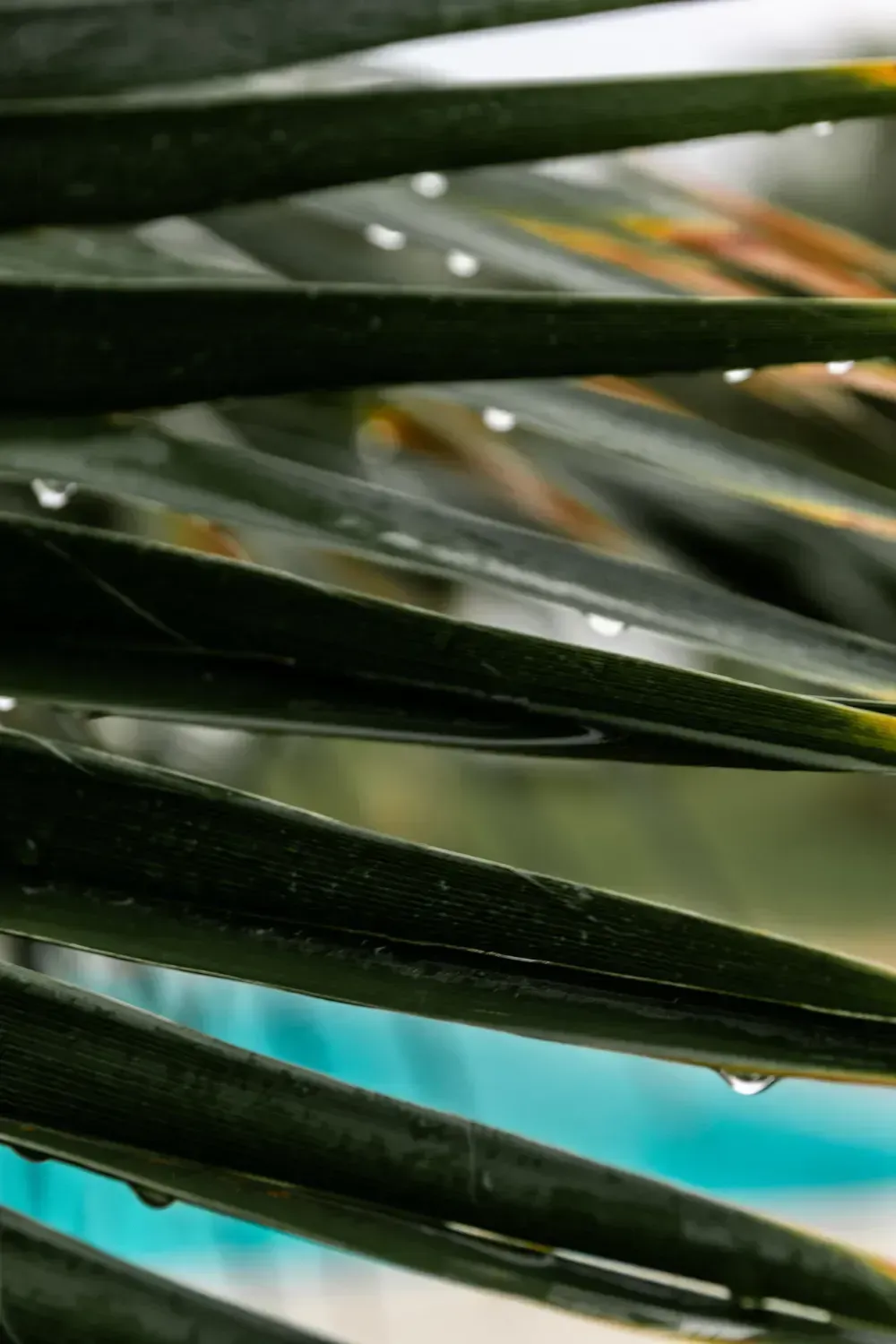 interiors-retreat-centre