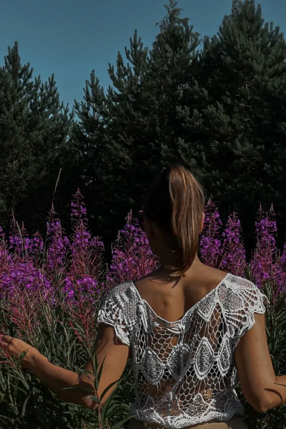 wild-nature-finland-photographer