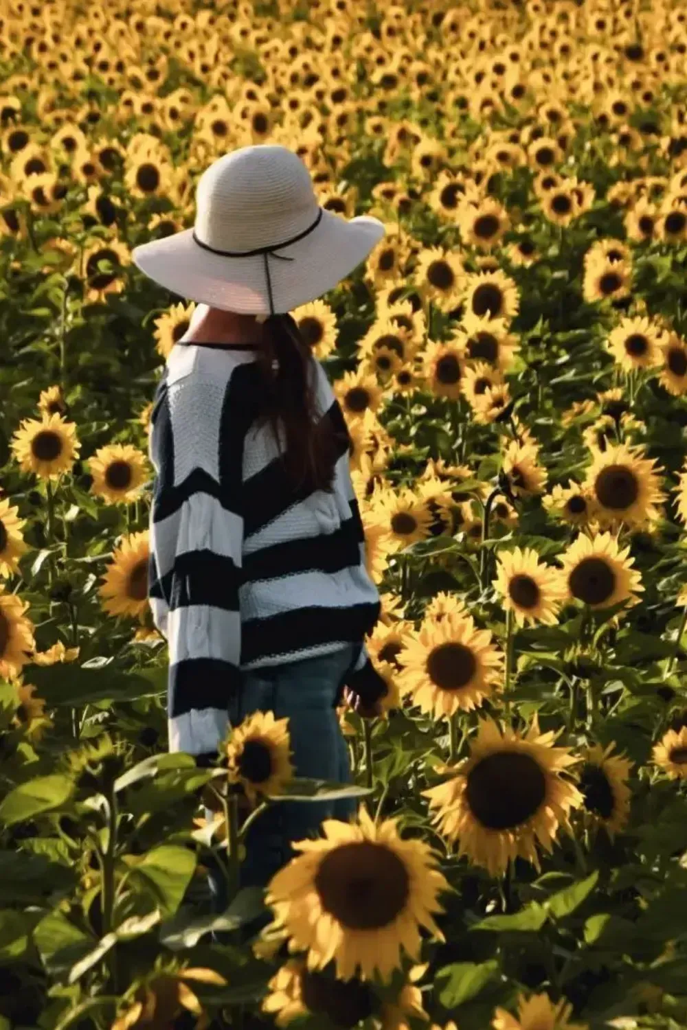 sunflower-field-portrait