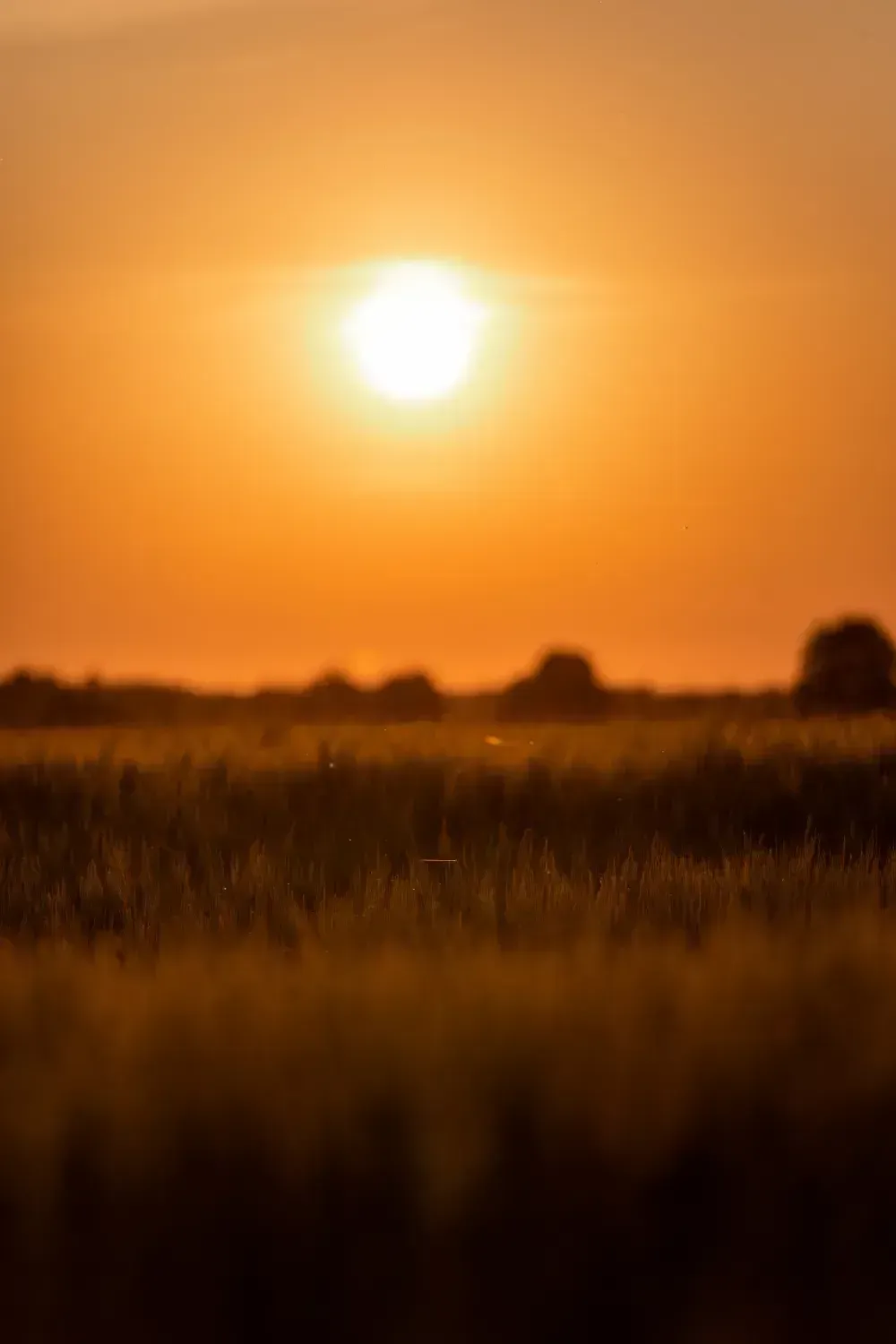 travel-photographer-finland