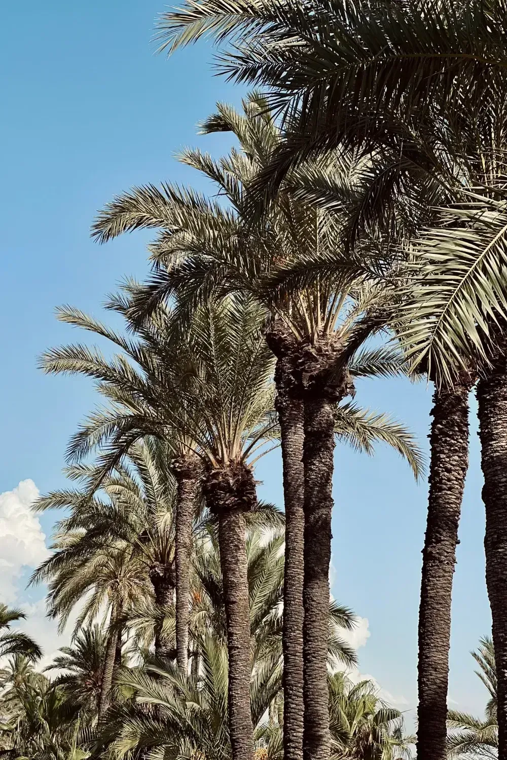 alicante travel blog