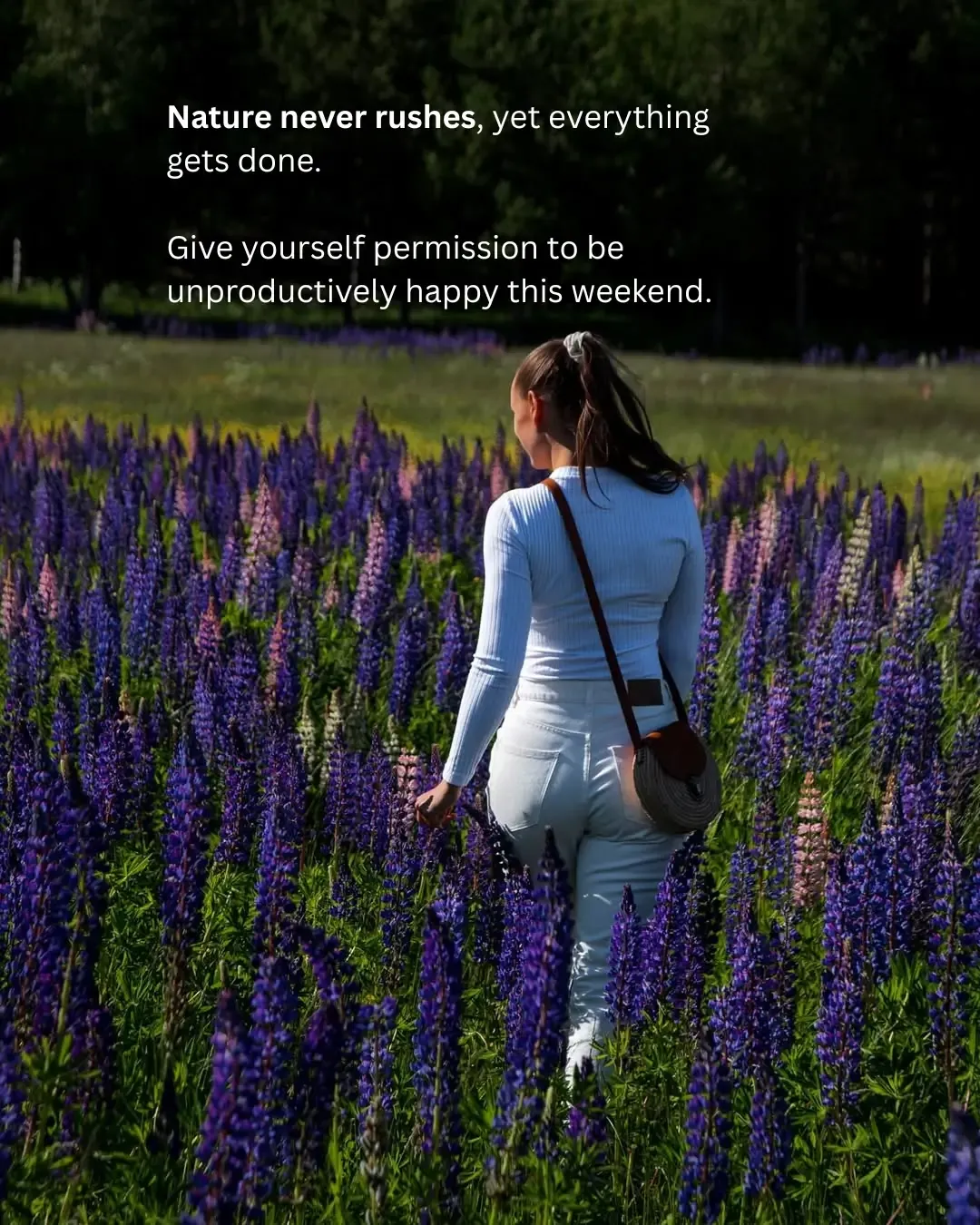 nature-never-rushes-yet-everything-gets-done