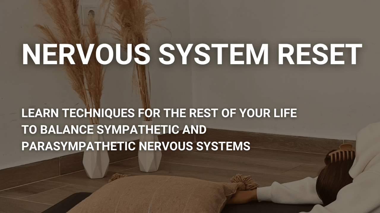 nervous system reset course