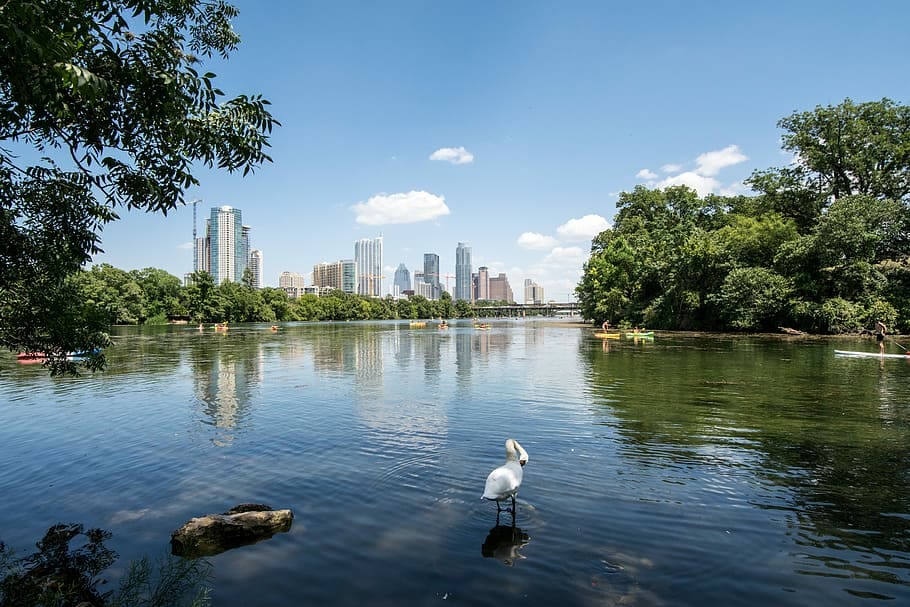 image: landscape design in texas