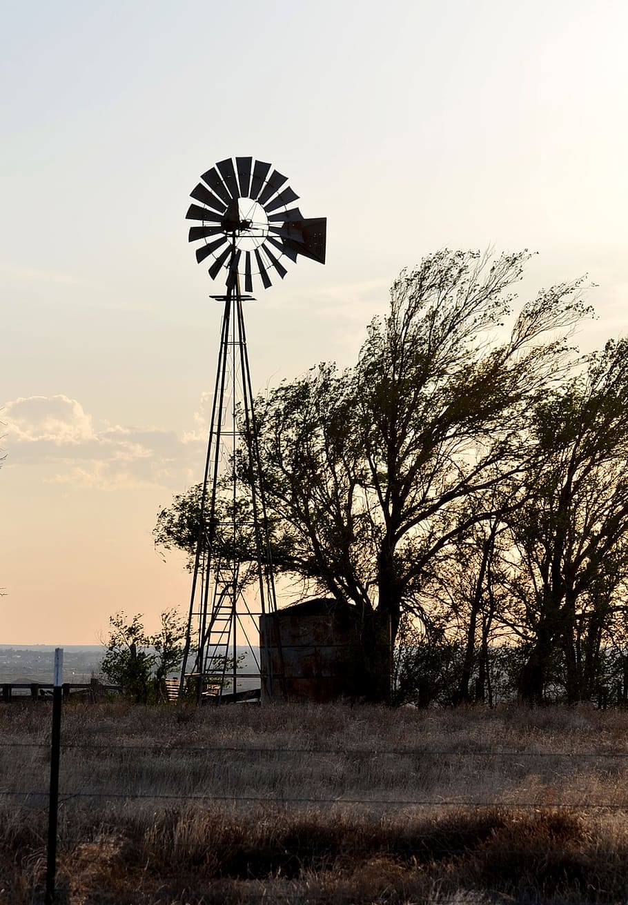image: landscape design in texas