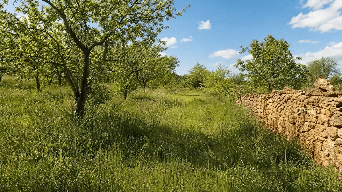 terrain humide printemps