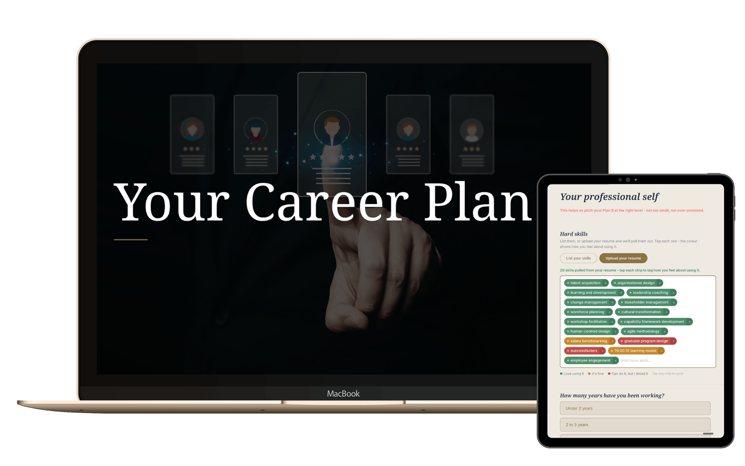 Your Career Plan - eight directions ranked on fit, speed and effort