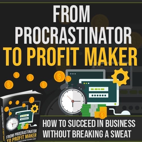 From Procrastinator to Profit Maker resell rights