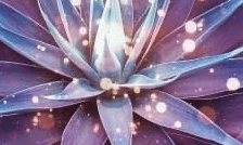 Learn all about what the Guides say about Untangling Human Sexuality (Part 1) now!