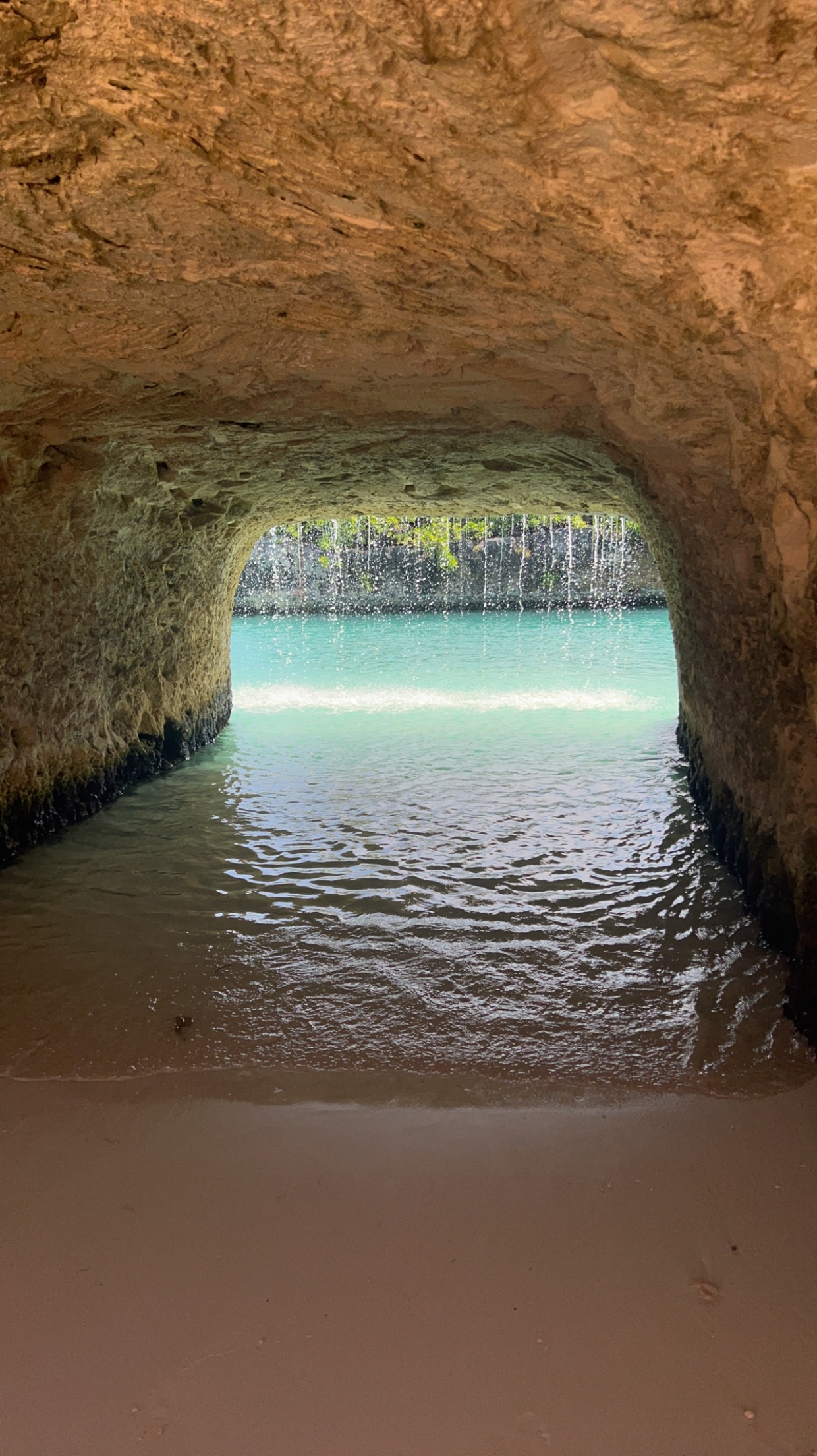 xcaret arte grotto
