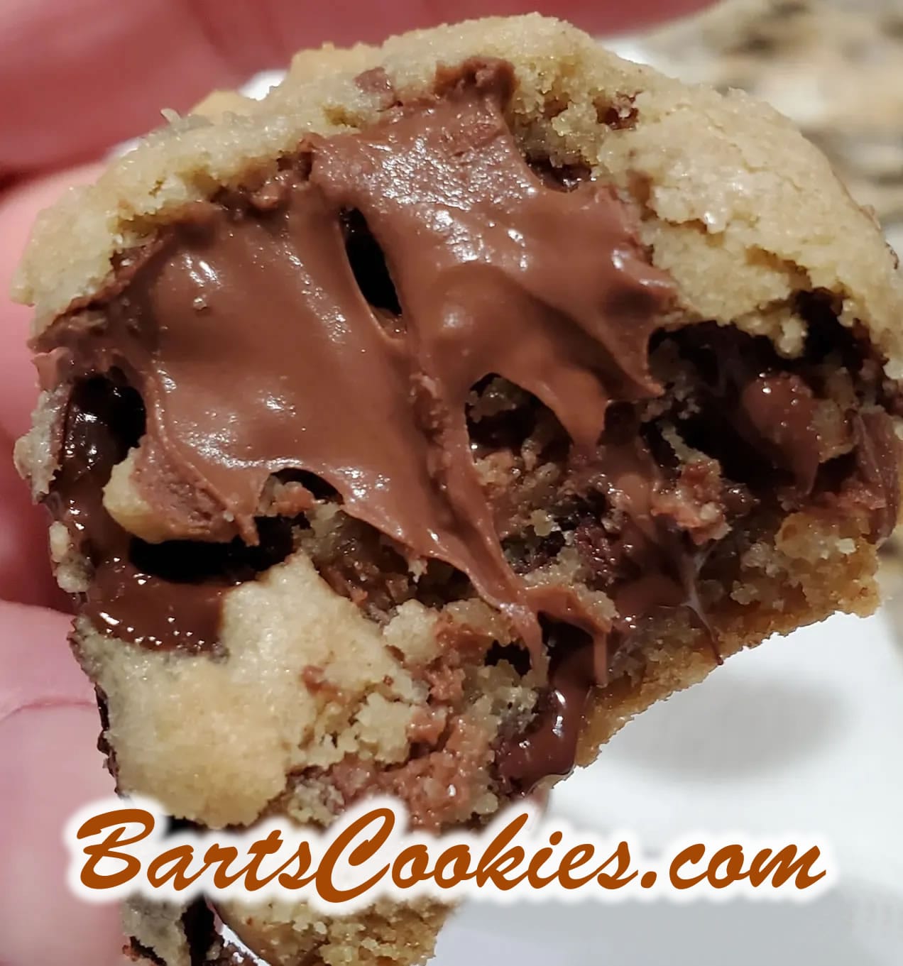 Why I Make The World's Best Chocolate Chip Cookie! Wanna Try One? ... or Do You Want The Recipe? by Bart Smith