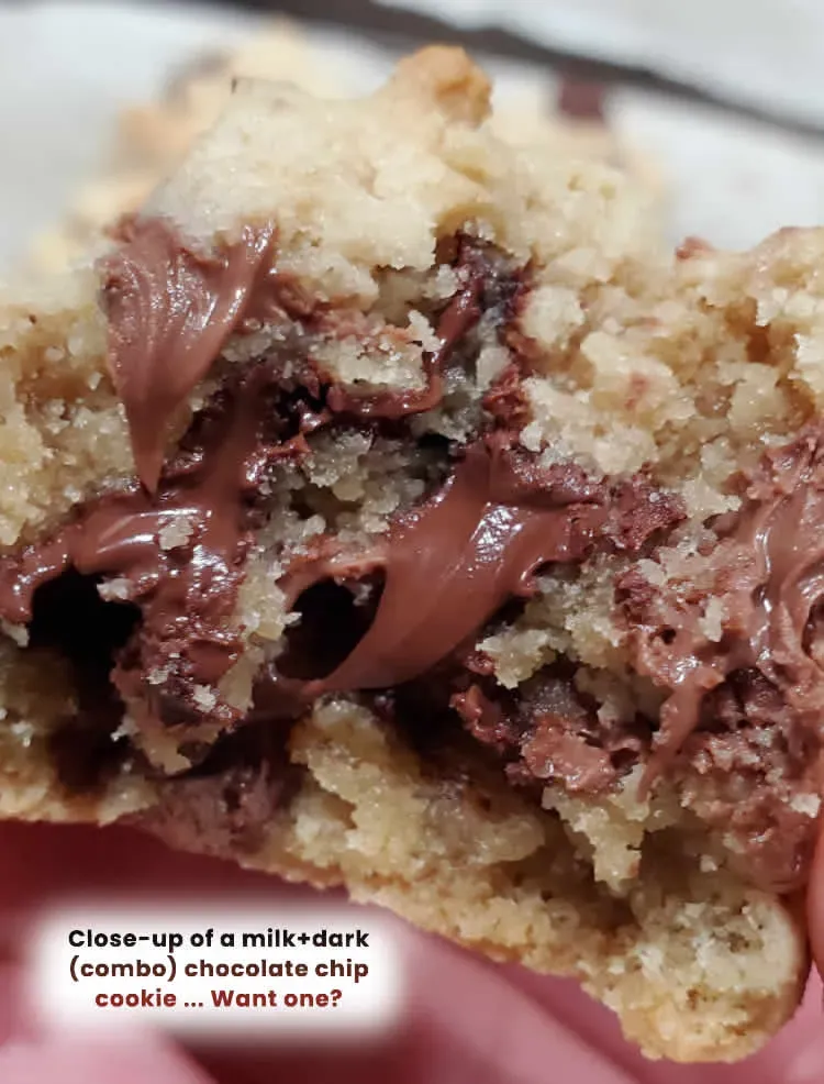 Why I Make The World's Best Chocolate Chip Cookie! Wanna Try One? ... or Do You Want The Recipe? by Bart Smith