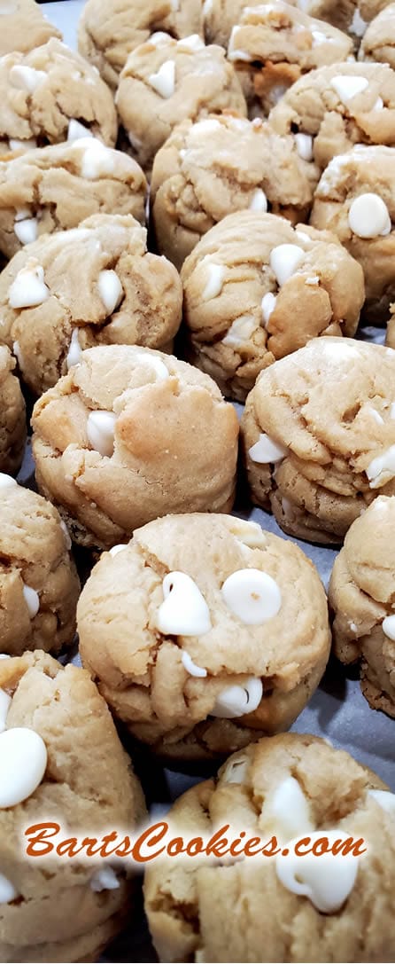 Why I Make The World's Best Chocolate Chip Cookie! Wanna Try One? ... or Do You Want The Recipe? by Bart Smith