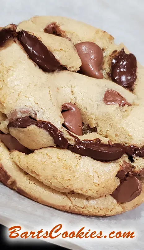 Bart Smith Bakes The World's Best Chocolate Chip Cookies at Bartscookies.com