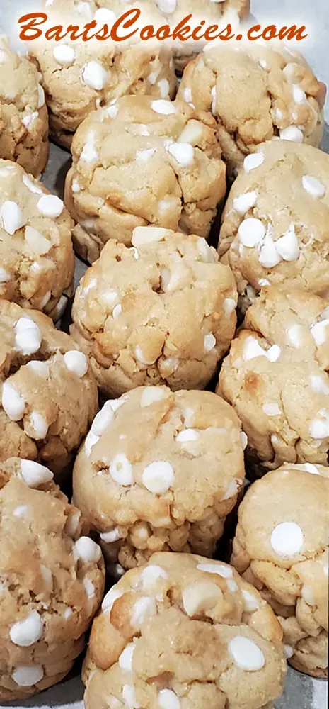 Bart Smith Bakes The World's Best Chocolate Chip Cookies at Bartscookies.com