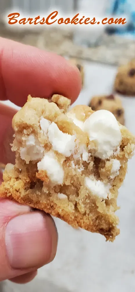 Bart Smith Bakes The World's Best Chocolate Chip Cookies at Bartscookies.com