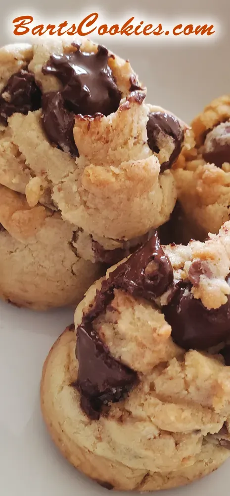 Bart Smith Bakes The World's Best Chocolate Chip Cookies at Bartscookies.com