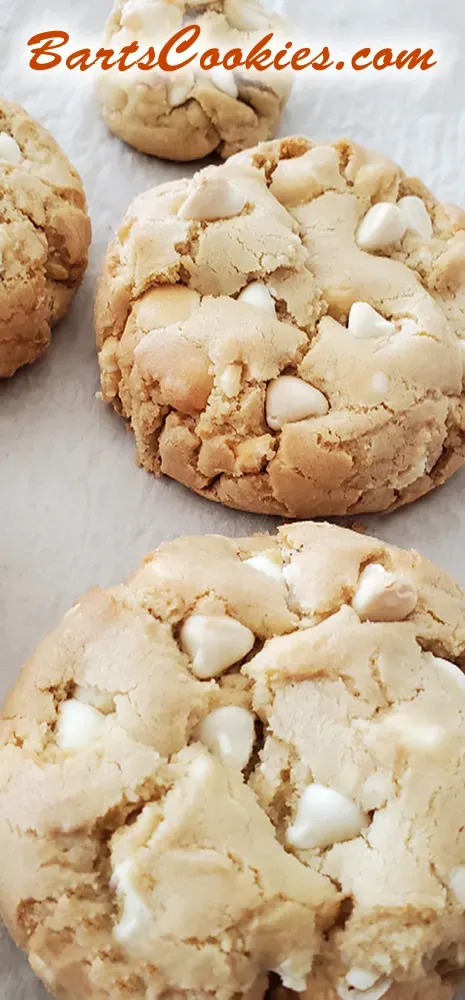 Bart Smith Bakes The World's Best Chocolate Chip Cookies at Bartscookies.com