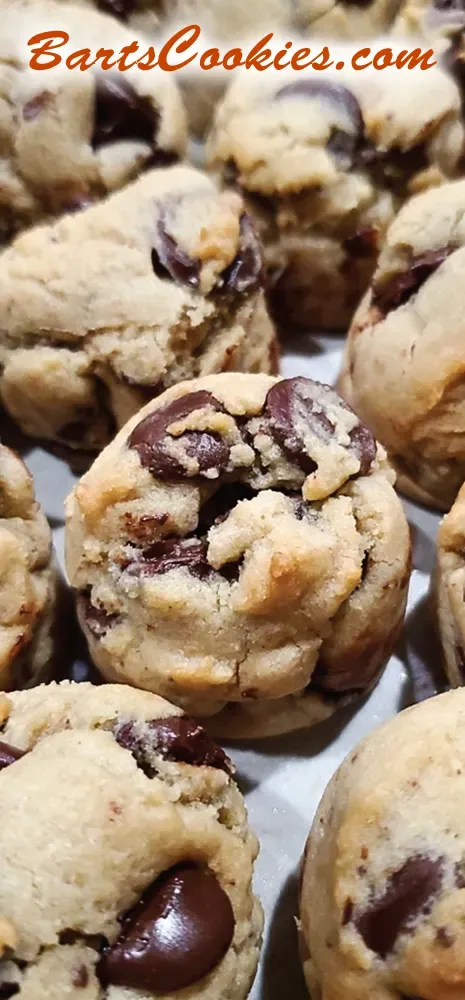 Bart Smith Bakes The World's Best Chocolate Chip Cookies at Bartscookies.com