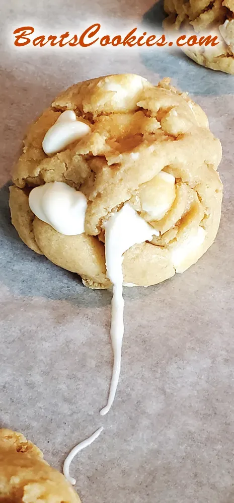 Bart Smith Bakes The World's Best Chocolate Chip Cookies at Bartscookies.com