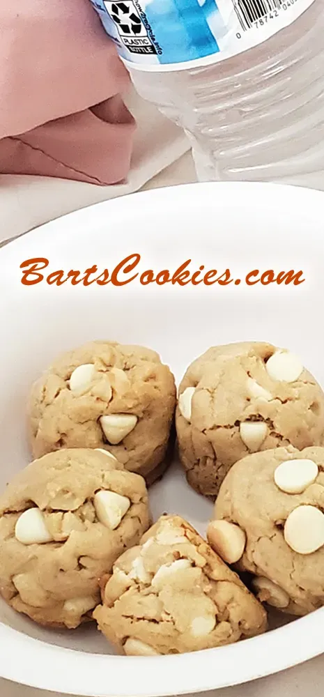 Bart Smith Bakes The World's Best Chocolate Chip Cookies at Bartscookies.com