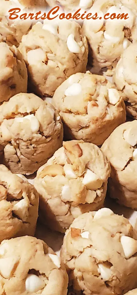 Bart Smith Bakes The World's Best Chocolate Chip Cookies at Bartscookies.com