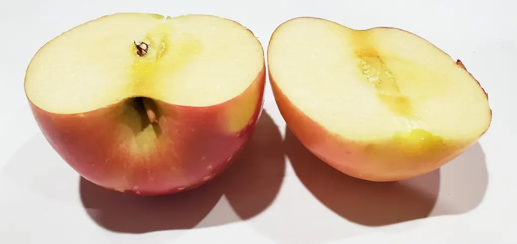 APPLE SLICES FUJI ARE MY FAVORITE