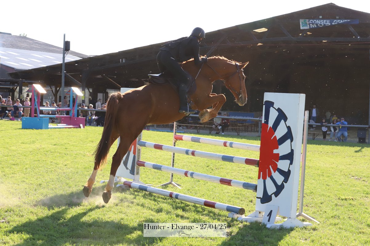 Cavalière en plein saut d'obstacle