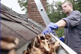 Gutter Cleaning